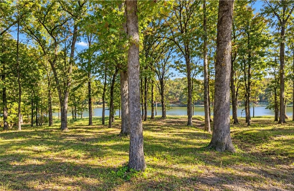 Wooded waterfront view from Lot 55 in Paradise Shores