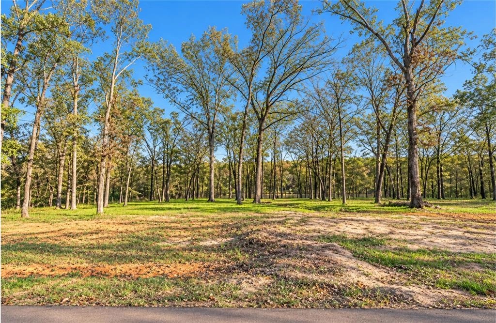 Wooded buildable area on Lot 55